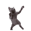 o_cat_vibe emoji