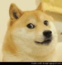 shadesdoge emoji