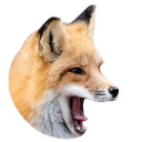 pogfox emoji
