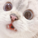 kittywhoa emoji
