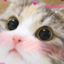 zkittyblush emoji