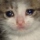 sadcat emoji