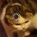 cat_loading emoji