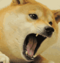 angryannoyed emoji