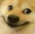 doge emoji