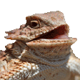 heh emoji