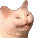 smilingcat emoji