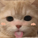 0catblush emoji