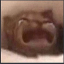 0catcry emoji