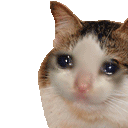 3_CatSadLikeGIFCopy2 emoji