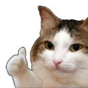 5573okcat emoji