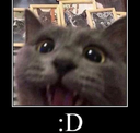 KittyDFace emoji