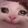 6762sadcat emoji