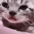 kotekcry emoji