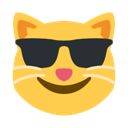 cat_cool emoji