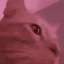CatVibing emoji