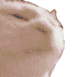 CatJamDisco emoji