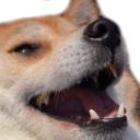 7882_dogekek emoji