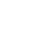 Valorant_Points emoji