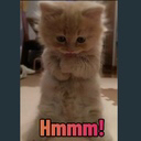 carpe_hmm emoji