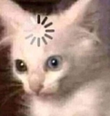 dcl_zzCarregandoCat emoji
