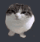 cato emoji