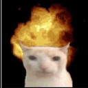 fire_cat emoji