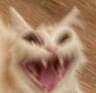 D_catangry emoji