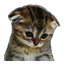 sad_cat_pack emoji