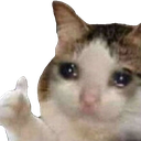 95_CryThumbsUp emoji