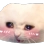 catblush emoji