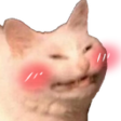 catblush emoji
