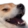 DogeKek emoji