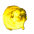PogPug emoji
