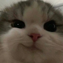 cat_smirk emoji