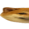 doge1 emoji