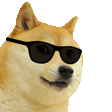 cool_doge emoji