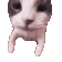kotkiss emoji