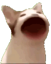 popcat emoji