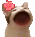 tlamCatBop emoji