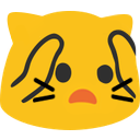 blobcatworried emoji