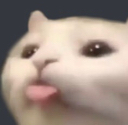catcatBleeh emoji