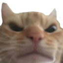 Angrycat emoji