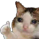 CatThumbsUp emoji