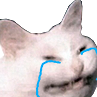 cattocry emoji
