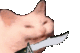 catStab emoji