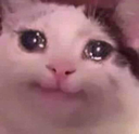 cryingcat emoji