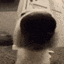 doge_sniff emoji