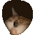 2401kittypeak emoji