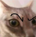 4436cat emoji